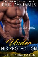 Substance B Cover of Under His Protection (Brie’s Submission #14)
