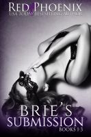 Substance B Cover of Brie’s Submission: Books 1–3